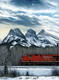 Cindy McLaren Canadian Pacific Train 8776