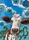 Evans, Erinn   Spring Cow