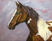 Shirley  Kinneberg    Painted Pony