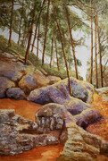 Margaret Klappstein Trees Among the Rocks