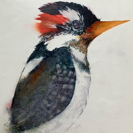 Meyer, Lorie   Ms D Woodpecker