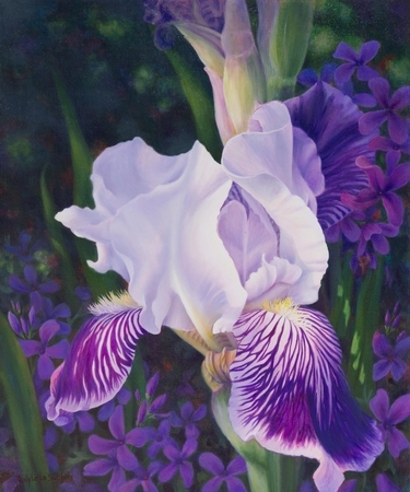 Schafers, Judy   Essence of Spring